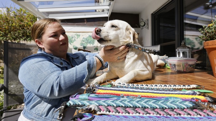 Hundehalsbänder aus Neufahrn: Labrador-Retriever Sofie ist ein bunter Hund, sie trägt die farbenfrohen Halsbänder und Leinen, die Besitzerin Claudia Ostermeier selbst fertigt.