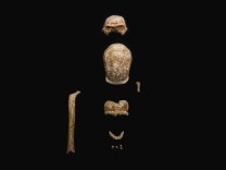 Spektakuläre Neandertaler-Funde in Höhle in Italien