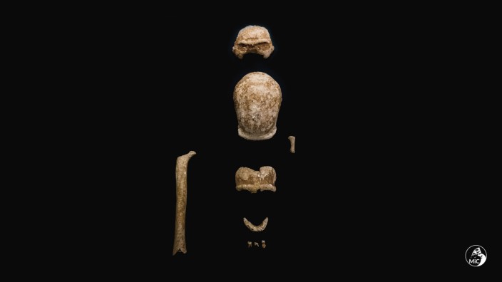 Spektakuläre Neandertaler-Funde in Höhle in Italien