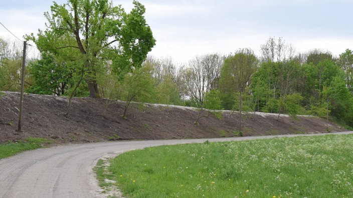 Naturschutz: Begrünt und bewachsen war der alte Bahndamm bei Olching. Nun gleicht er eher einem Kiesberg.