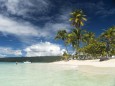 Sandstrand der Insel Cayo Levantado vor Samana, Dominikanische Republik, Karibik, Amerika palm fringed sandy beach of C