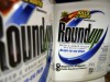 US-Richter sieht Bayers Glyphosat-Vergleich weiter skeptisch