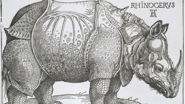 Rhinoceros, by Hendrick Hondius copied from Albrecht Durer, 1515, Dutch print. Durer based the print on written descript