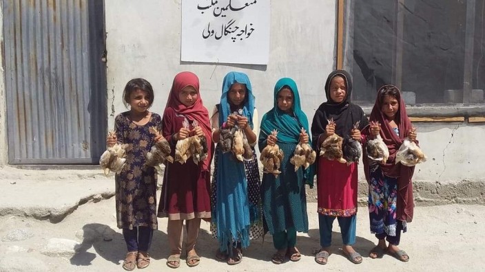Hilfe für Afghanistan: 2018 hat Sabur Afsali Kindern in einer Grundschule im Kundus 150 Hühner geschenkt. Inzwischen laufen in den afghanischen Höfen über 30 000 Hühner herum.
