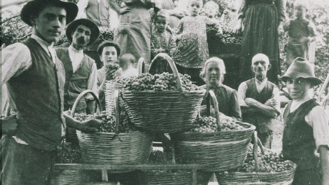 Weinkultur: Tradition und Geschmack: Die Familie Alighieri produziert im Valpolicella seit 21 Generationen Wein, hier ein Foto aus dem 19. Jahrhundert.