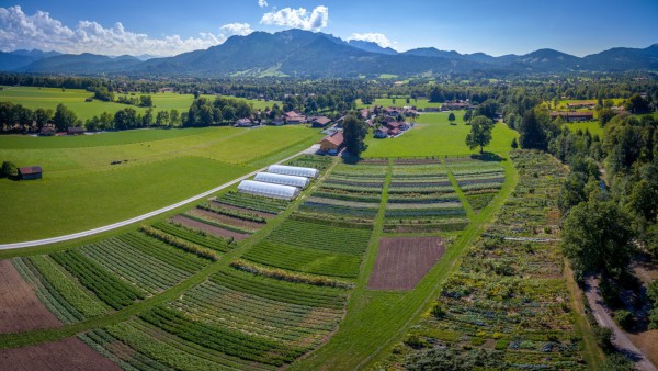 Biotop Oberland, Solidarische Landwirtschaft