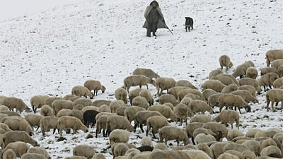 Wetterumsturz: Plötzlicher Wintereinbruch im Schwarzwald: Der schneebedeckte Feldberg am Tag der Deutschen Einheit.