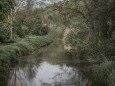 Idyllisch schlängelt sich die Friedberger Ach durch die unverbaute Landschaft. Doch der Schein trügt: Der Fluss und seine Lebewesen sind mit gesundheitsgefährdenden Stoffen kontaminiert.