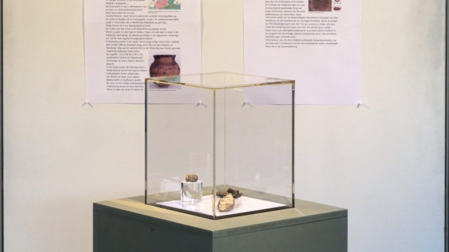 Geschichte: Blick ins Museum: In der Glasvitrine befinden sich Grabbeigaben aus der Jungsteinzeit.