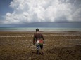 A man walks through Sargassum algae at Gaviota Azul beach in Cancun