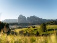 Heustadel und Hütten auf nebligen Wiesen, hinten Langkofel und Plattkofel, Seiser Alm, Südtirol, Italien, Europa *** Hay