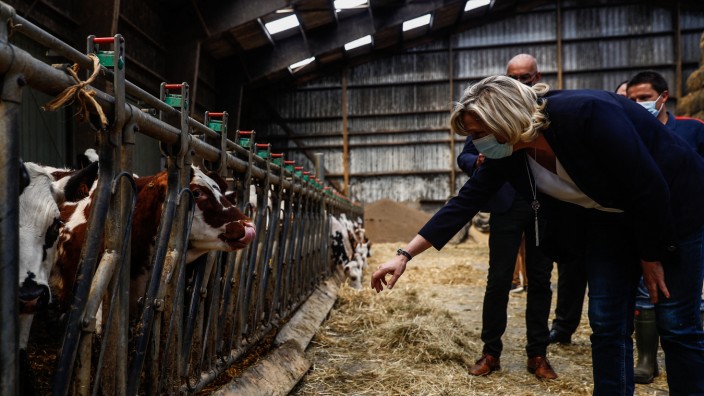 Regionalwahlen in Frankreich: Wahlkampf mit Stallgeruch: Marine Le Pen besucht einen Bauernhof mit Käsefabrik in der Normandie.