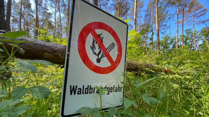 Waldbrandgefahr in Niedersachsen