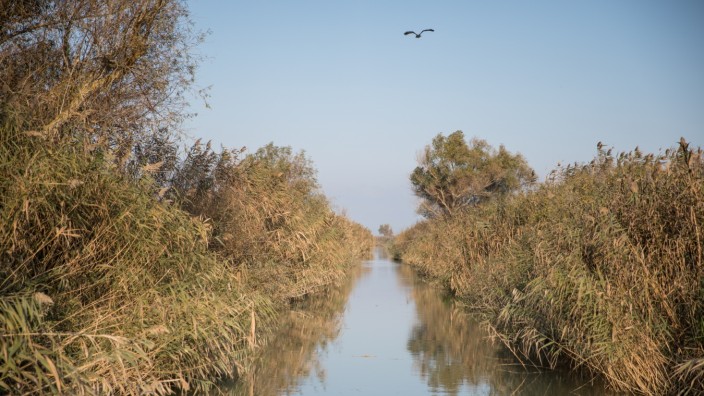 Kanäle im Unesco-Weltnaturerbe Donaudelta in Rumänien.