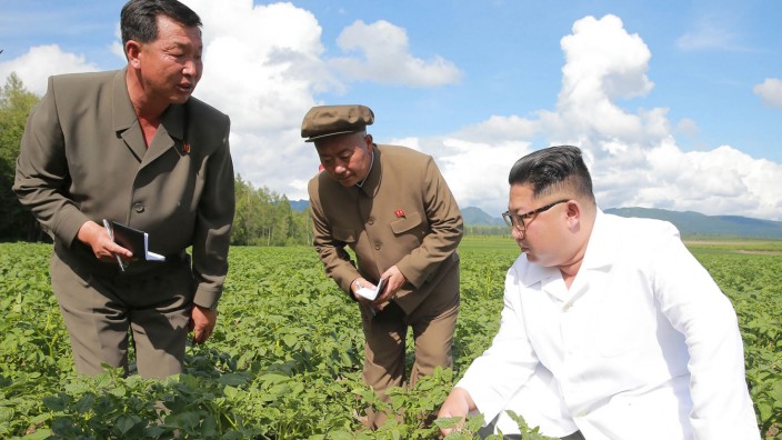 Kim Jong-un, Nordkorea