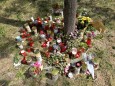 Nach Fund der Leiche einer 13-Jährigen in Wien
