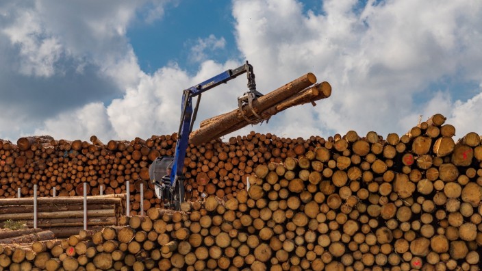 Wälder in Gefahr: Sogar das waldreiche Deutschland verbraucht mehr Holz, als nachwächst.