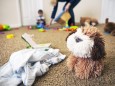 Toy dog and cloth on the floor of nursery model released Symbolfoto PUBLICATIONxINxGERxSUIxAUTxHUNxO