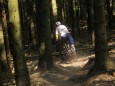 Illegale Mountainbike-Strecke im Wald