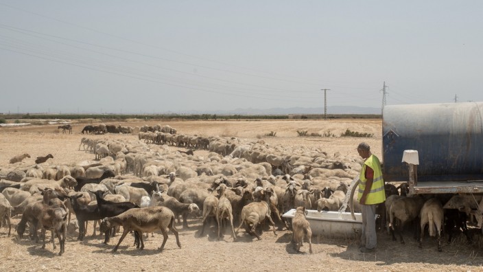 Climate Change Warnings As Southern Spain's Deserts Expand Due To Drought