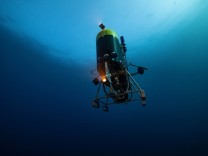 Meereswissenschaften: „Es ist die größte Tierwanderung überhaupt“