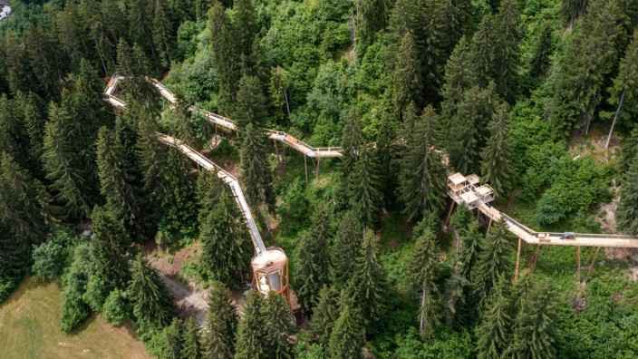 Baumwipfelpfad in der Schweiz: 1,6 Kilometer führt der Baumwipfelpfad durch den Laaxer Bergwald. Per Tablet sollen Besucher dabei etwas über den Wald und die Natur erfahren.