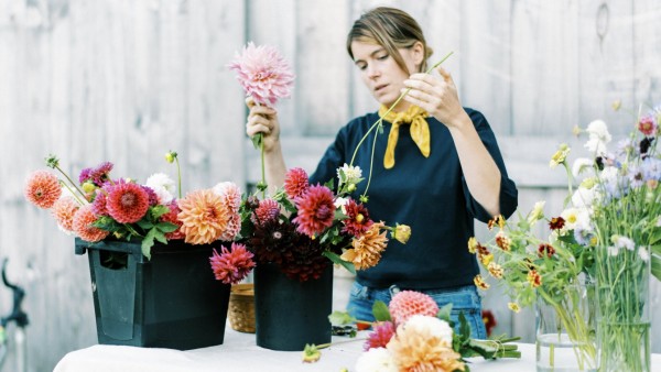 Female business owner and flower farmer arranging dahlia bouquets West Brookfield, MA, United States PUBLICATIONxINxGERx