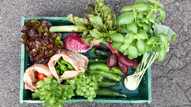 Bio-Lebensmittel: Alles drin: Die Erzeugnisse der Solawi-Gemüsekiste sind gerantiert bio und regional.