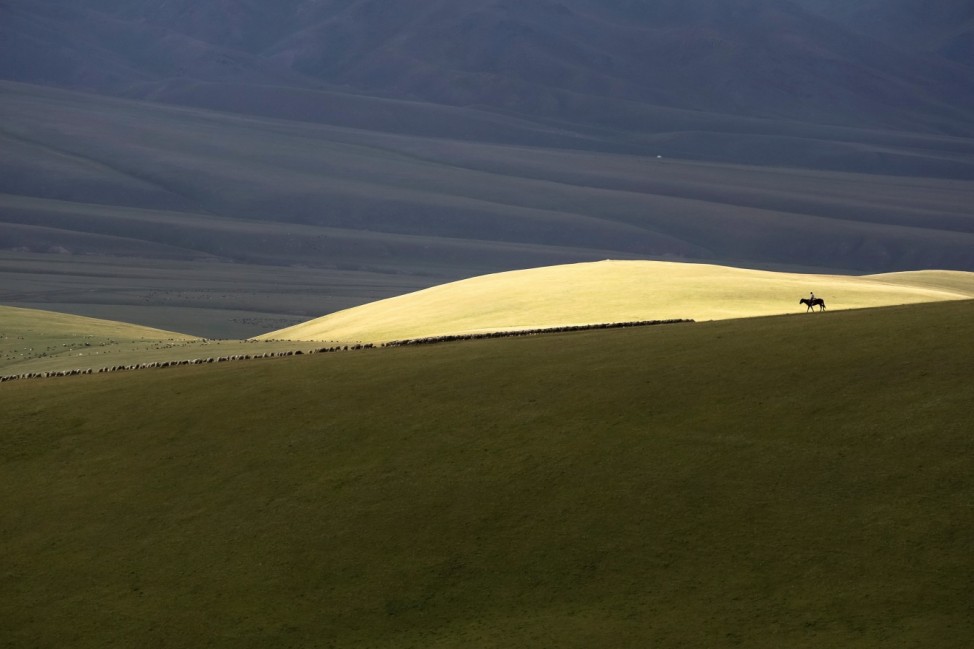 A shepherd herds a flock of sheep on the mountainous Assy plateau east of Almaty