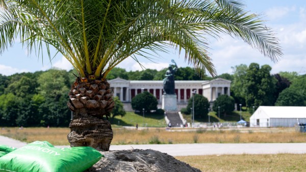 Palmengarten auf der Theresienwiese