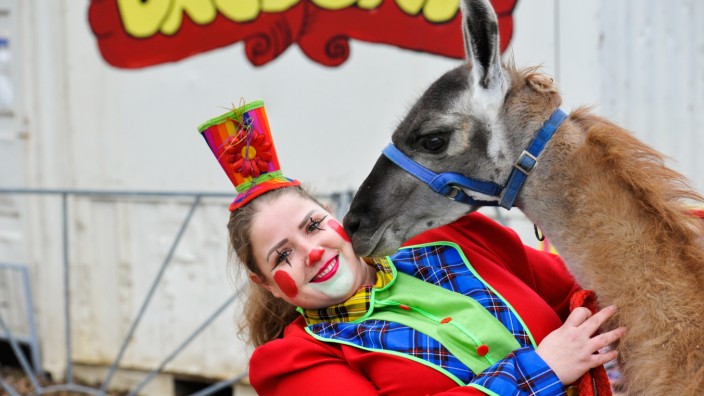 Bogenhausen: Die Artisten müssen essen, auch die vierbeinigen. Also ist der in Bogenhausen gestrandete Circus Baldoni auf Spenden und Zuschüsse angewiesen, im Bild Ramona Richter im Clowns-Kostüm mit Lama.