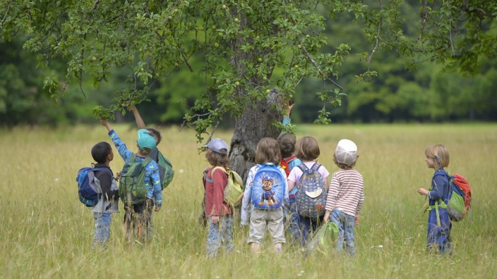 Kinder, die Wald- und Naturkindergärten besuchen, sind oft draußen. Einer der Ausflüge führt zum Apfelbaum.