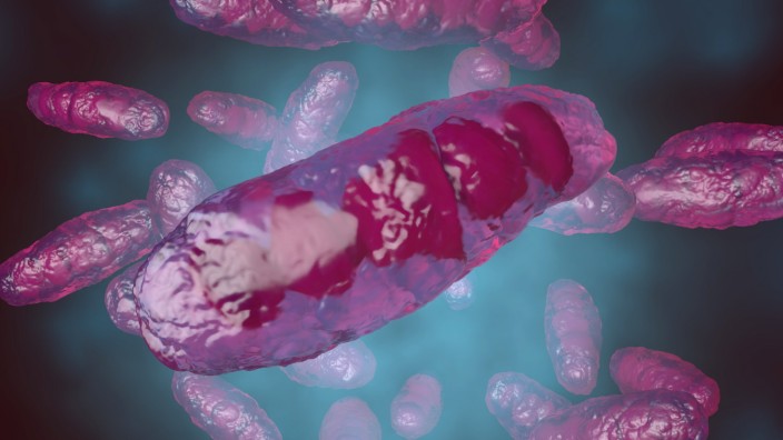 3D rendered Illustration, visualisation of an anatomically correct mitochondrion, an organelle PUBLICATIONxINxGERxSUIxAU