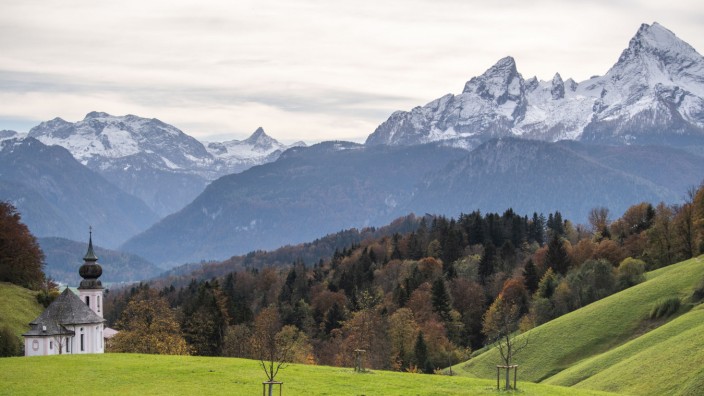 Naturschutz: Die Wälder unter dem Watzmann sind in den vergangenen 40 Jahren immer schneller gewachsen. Der Grund ist der Klimawandel. Das haben Forschungen im Nationalpark Berchtesgaden ergeben.