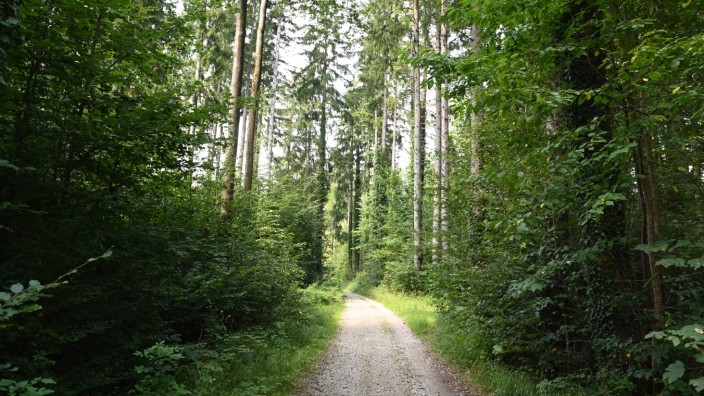 Großraum München: Den politisch umstrittenen Kiesabbau wird es im Forst Kasten nun doch nicht geben.