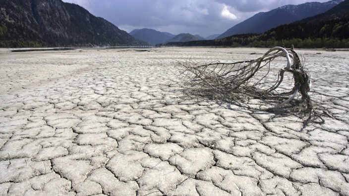 Trockenheit: Trockene Flussbetten, wie das der Isar, wird man in Zukunft häufiger sehen.