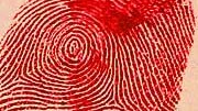 Verbrecherjagd: Fingerabdrücke helfen vor allem dann weiter, wenn man bereits einen Verdächtigen hat.