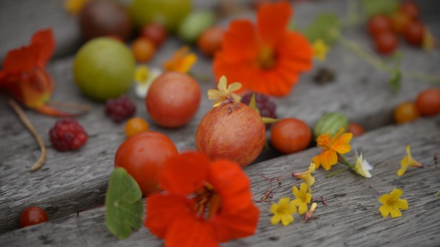 Gartenprojekt in Giesing: Natürliche Schönheiten: Unter anderem Blüten der Kapuzinerkresse, Tomaten und Himbeeren können Kinder in der Garten-Werkstatt säen und ernten.