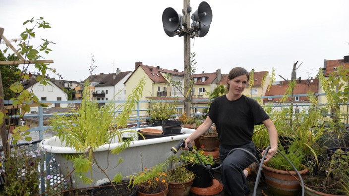 Gartenprojekt in Giesing: Über den Dächern von Untergiesing: In der Garten-Werkstatt der "Färberei" zieht Elisabeth Forster auch seltene Gemüsesorten.