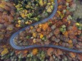 Germany, Bavaria, Drone view of winding country road cutting through autumn forest in Steigerwald RUEF03009
