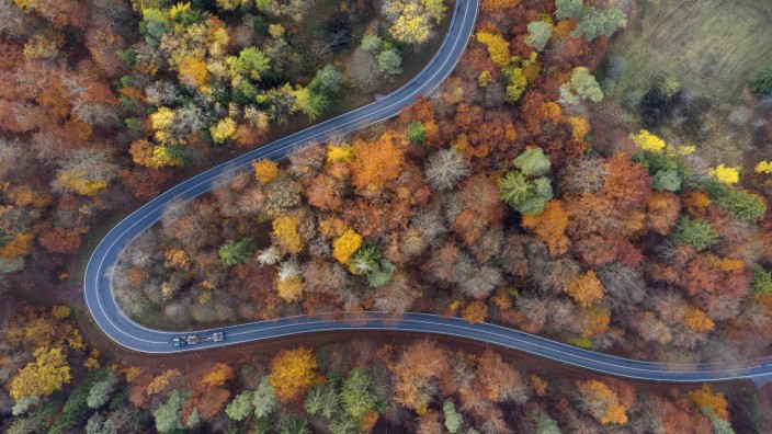 Reifenwechsel: Straße durch den bayerischen Herbstwald: Wenn es kälter wird, sind gute Reifen eine wichtige Sicherheitsreserve.