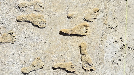 Archäologie: Die Fußspuren in New Mexico haben Menschen vermutlich vor 23000 bis 21000 Jahren hinterlassen.