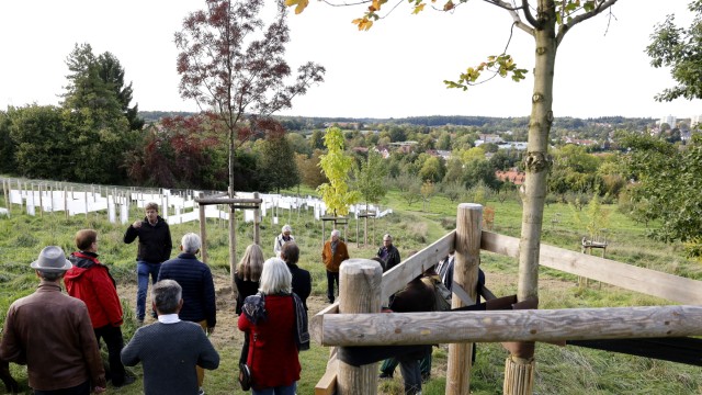 Hochschule Weihenstephan-Triesdorf: Vom neuen Arboretum am Weihenstephaner Berg aus haben die Besucherinnen und Besucher einen wunderbaren Blick.