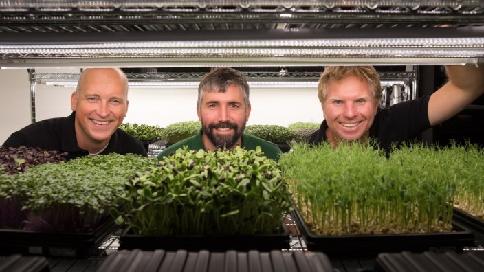Minga Greens, Anbau von Bio-Keimlingen