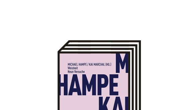 Das Buch "Weisheit. Neun Versuche": Michael Hampe, Kai Marchal (Hrsg.): Weisheit. Neun Versuche. Matthes & Seitz, Berlin 2021. 230 Seiten, 14 Euro.