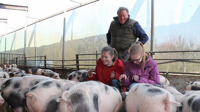 Ökologische Tierhaltung: Heinrich Rülfing aus Borken bewirtschaftet 108 Hektar Land und hält 900 Schweine.