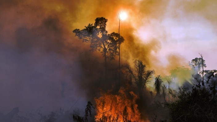 Josef H. Reichholf über "Regenwälder": Im August stand der Regenwald bei Novo Progresso in Brasilien in Flammen. Oft ist Brandstiftung die Ursache solcher Feuer. Es entstehen danach Flächen für den Sojaanbau.