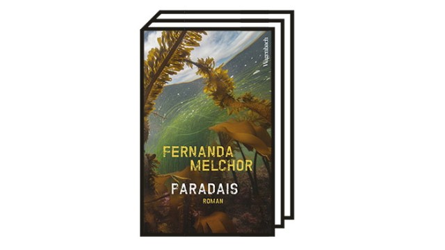 Fernanda Melchors Roman "Paradais": Fernanda Melchor: Paradais. Roman. Aus dem Spanischen von Angelica Ammar. Wagenbach, 2021. 144 Seiten, 18 Euro.