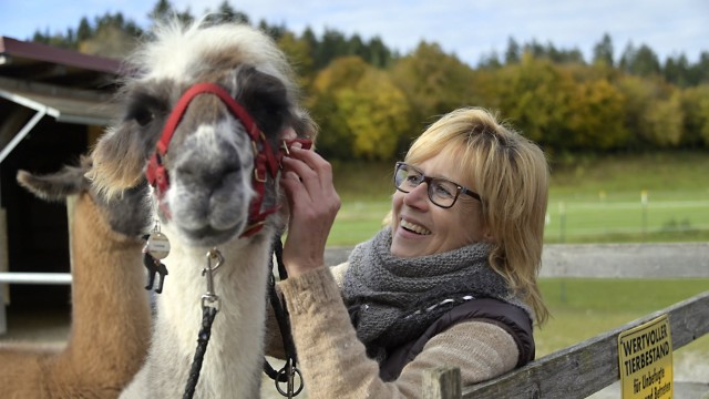Ausflugstipp in Aying: Lamas seien sehr entspannte Tiere, versichert Isolde Loher-Pfleghar.
