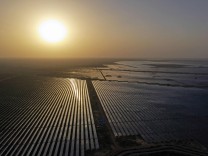 „Theorie und Praxis“-Kolumne: Kann Solarenergie den Strombedarf komplett decken?